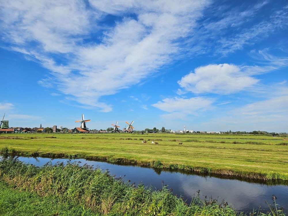 Expositie in het Molenmuseum; Het Kalf en de waterwolf