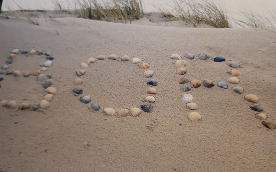 Willemijn Letters in schelpen Vlieland