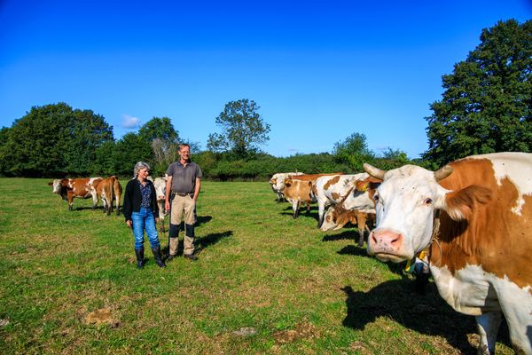 Boerderij Groot Zuidwijk
