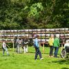 Kunstweekend Beetsterzwaag park Overtuin
