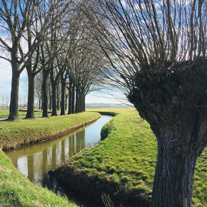 De Oranjepolder in februari
