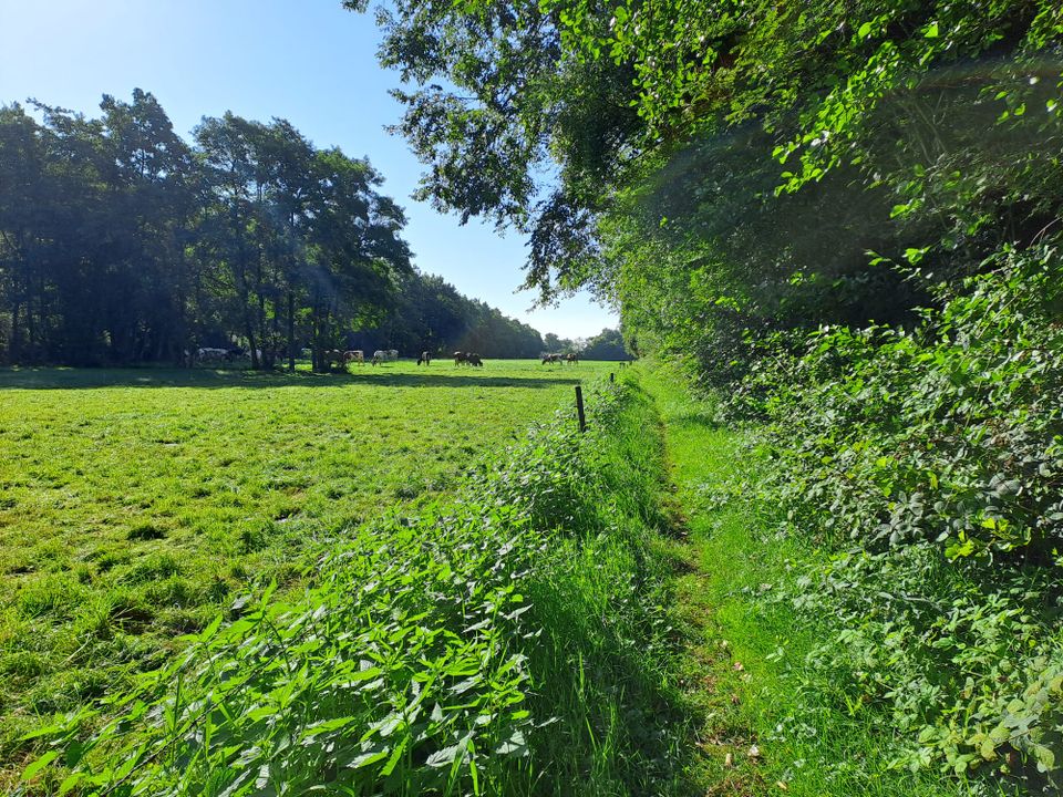 Verzet op het Friese platteland | Liberation route