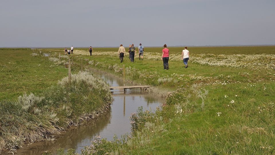 Noard Fryslan Butendyks 2