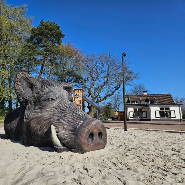 Krelis in zand met speeltoren