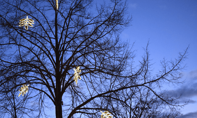 Winterwandeling Amersfoort lichtjes