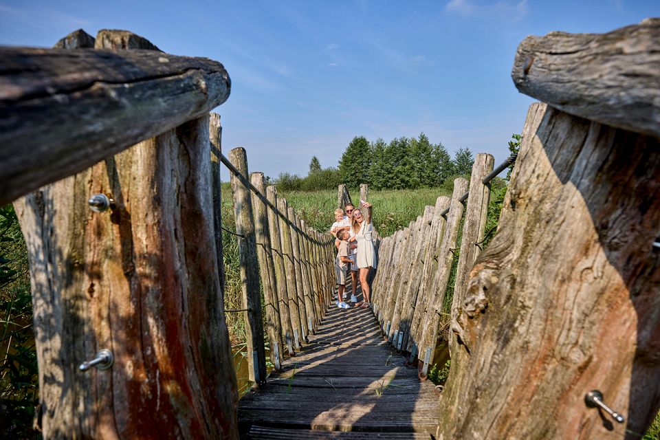 Mooie houten brug in het groen