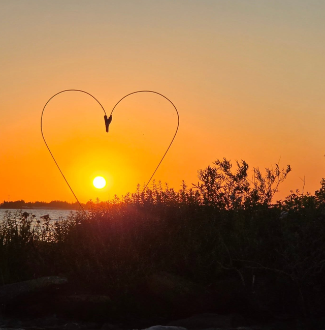 Foto van een avondzon door een hart met daarvoor bosjes.