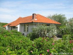 6 persoons vakantiehuis aan de rand van duin en bos