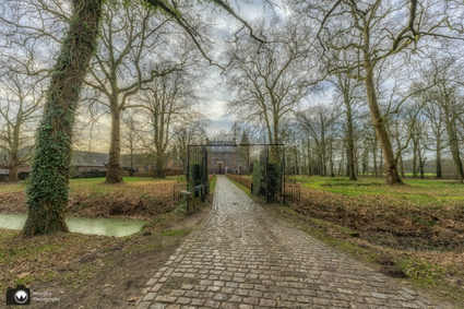 Statige laan naar en Kasteel Nemerlaer in Haaren in beeld