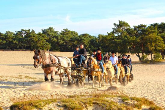 Natuurpoort van Loon | VisitBrabant