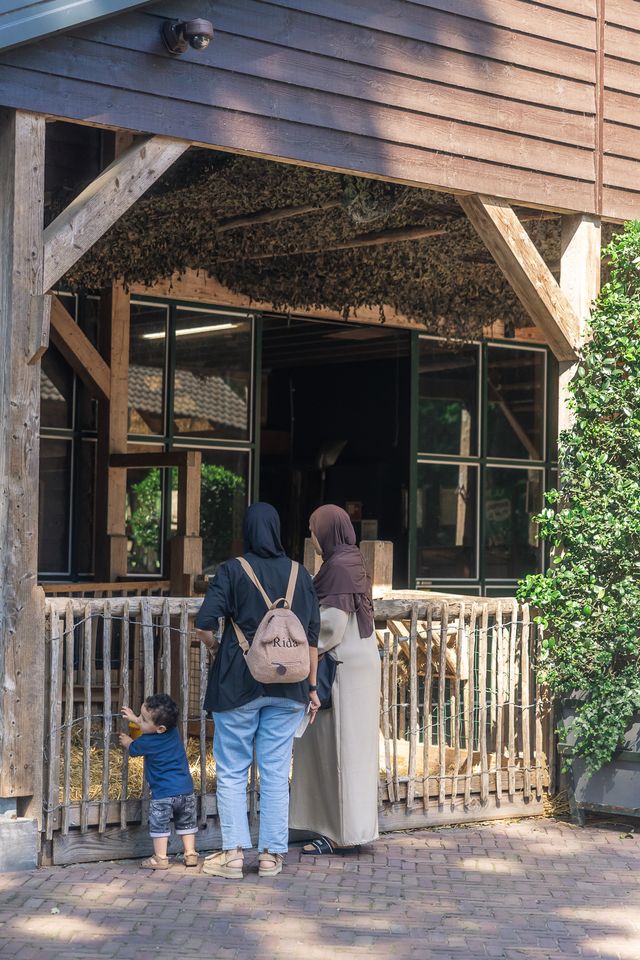 Twee dames met een kind die kijken naar dieren achter een hek bij Hoeve Ravenstein in Baarn op De Utrechtse Heuvelrug.