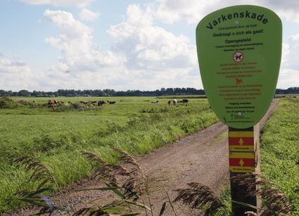 Een bord met regels als je de Varkenskade wilt betreden met op de achtergrond weilanden met koeien en ook bomen.