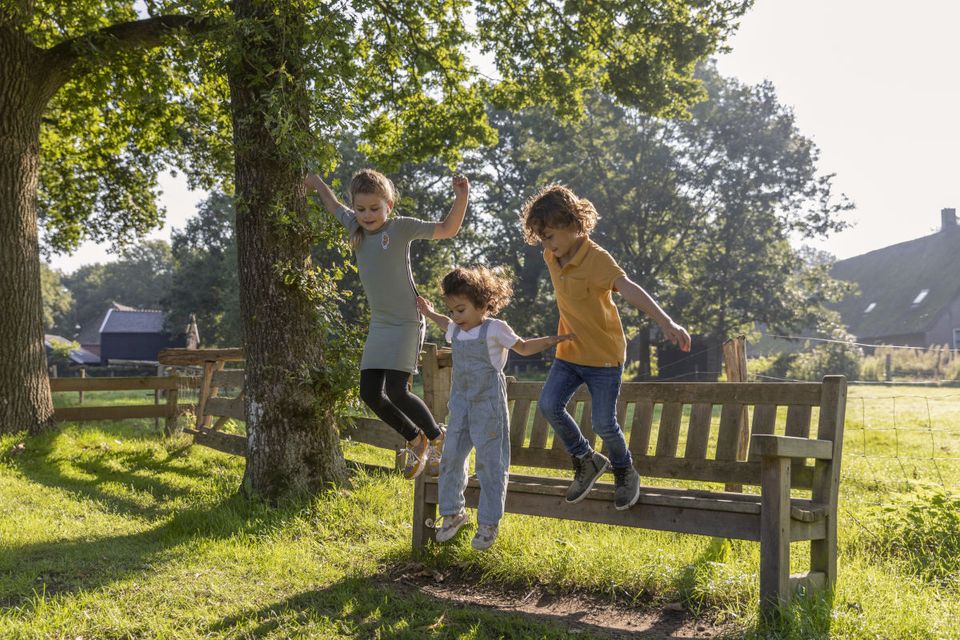 Dagje uit met kids in Zuidwest-Drenthe