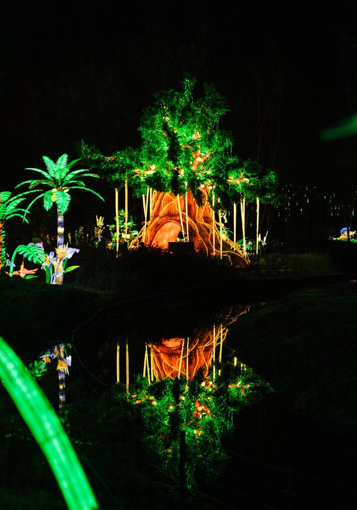 Beekse Bergen Light Safari