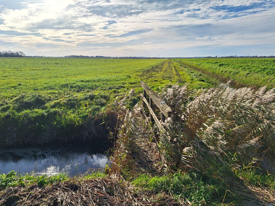 Slappeterp - Kleaster Anjum | Boerepaad