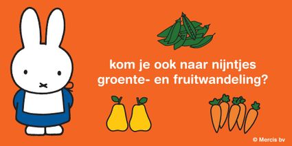 Kei Gezond Festival - Nijntje groente- en fruitwandeling