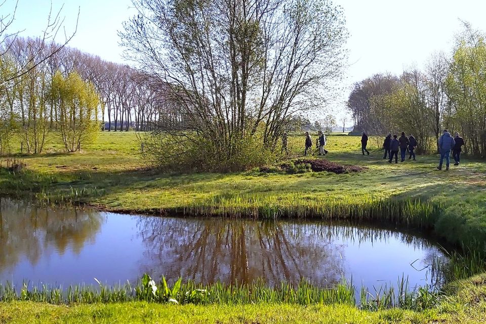 Spaziergang De Biezen Aarle-Rixtel