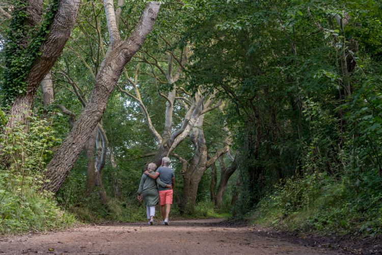 Wandelen op Schouwen-Duiveland