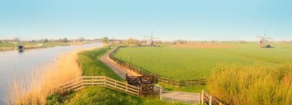 A beautiful Leiderdorp polder