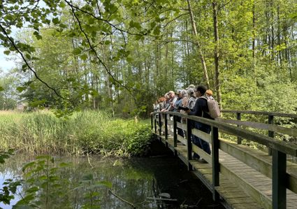 Öffentlicher Spaziergang Grüne Lunge Beek en Donk