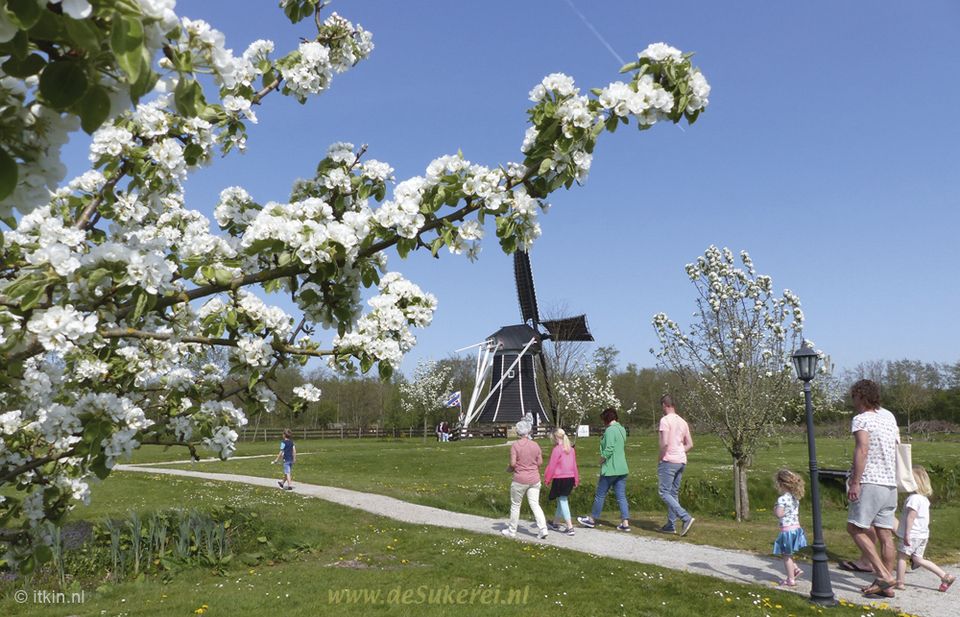 Speurtocht over het museumterrein