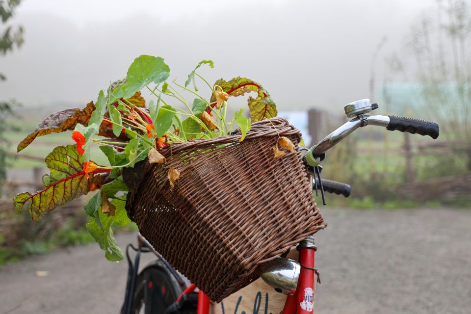 Fiets met fietsmandje waar verse groenten in zitten.