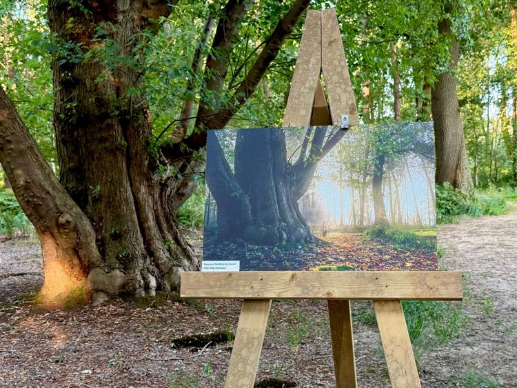 Herfstlandschap tentoongesteld in het zomerlandschap van Wellenseind