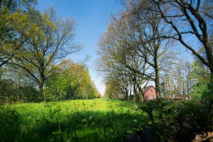 Coulissenlandschap nabij De Wedze in Twijzel in Nationaal Landschap Noardlike Fryske Wâlden. Met een woudhuisje