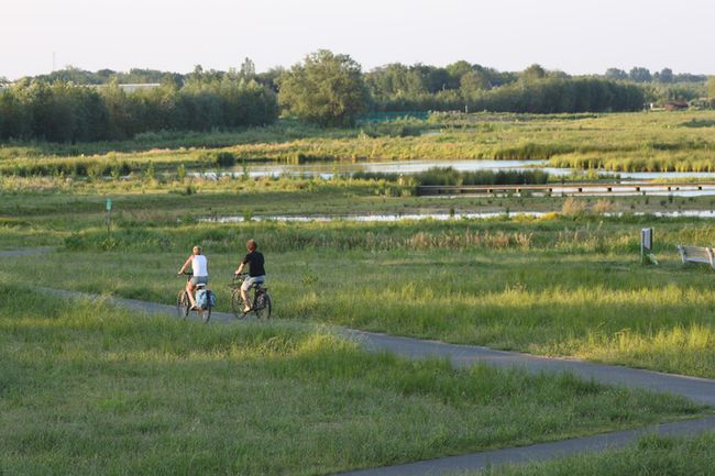 Twee fietsers rijden door het open en groene landschap van de Gelderse Vallei, langs water en natuurgebied. De foto laat rustig recreatief fietsen door het landelijke buitengebied zien.