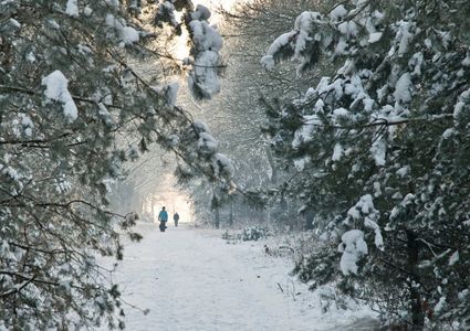 Winterwandeltocht en Trailrun AV-LGD