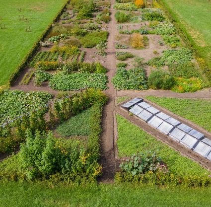 Moestuin
