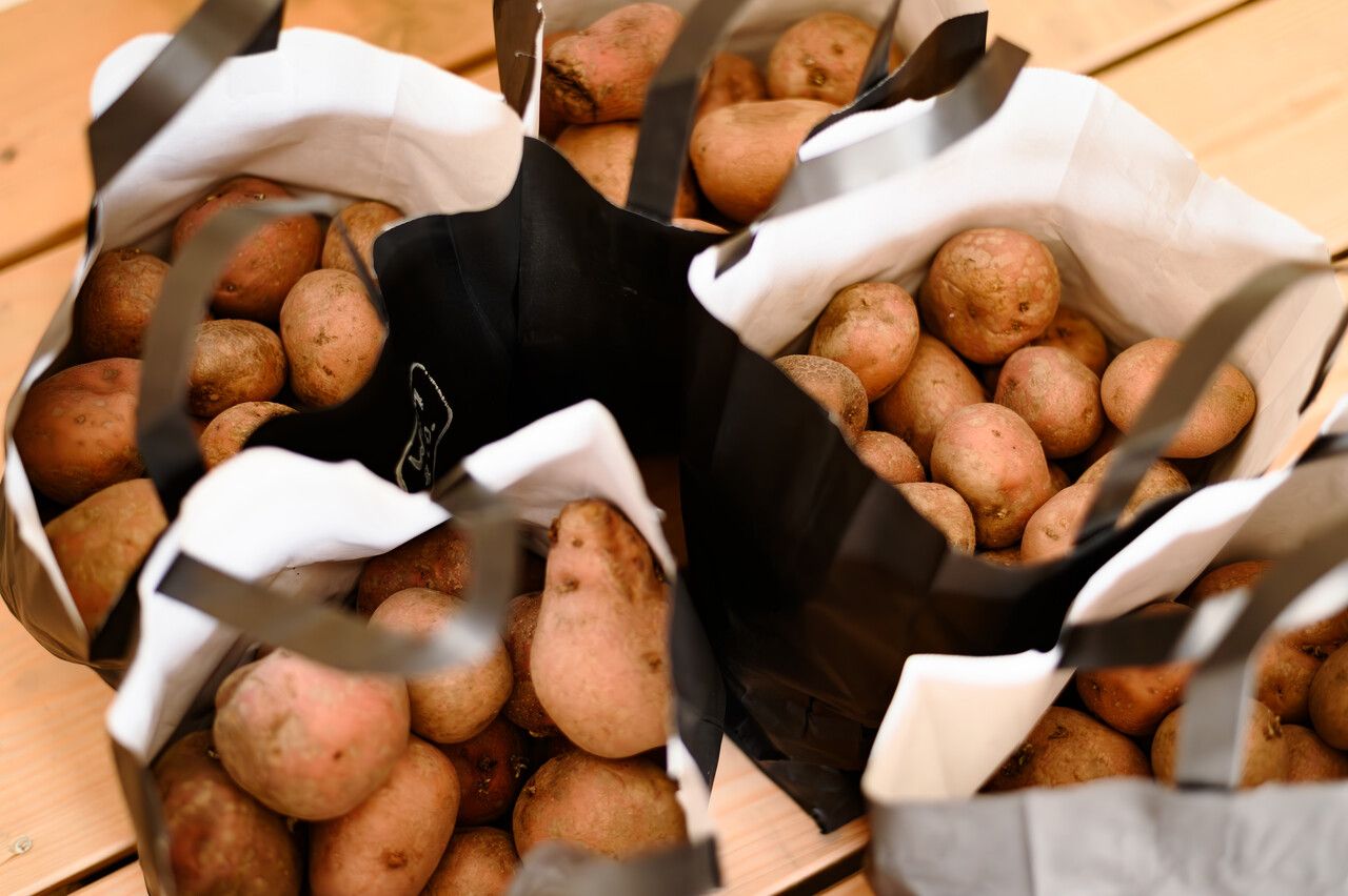 Wim & Co aardappels