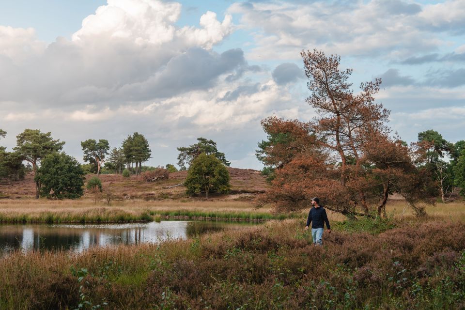 Nationaal Park de Maasduinen