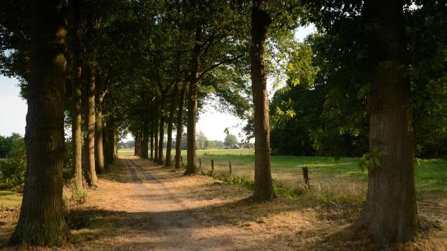 Voorjaarswandeling Scholtengoed Gossink