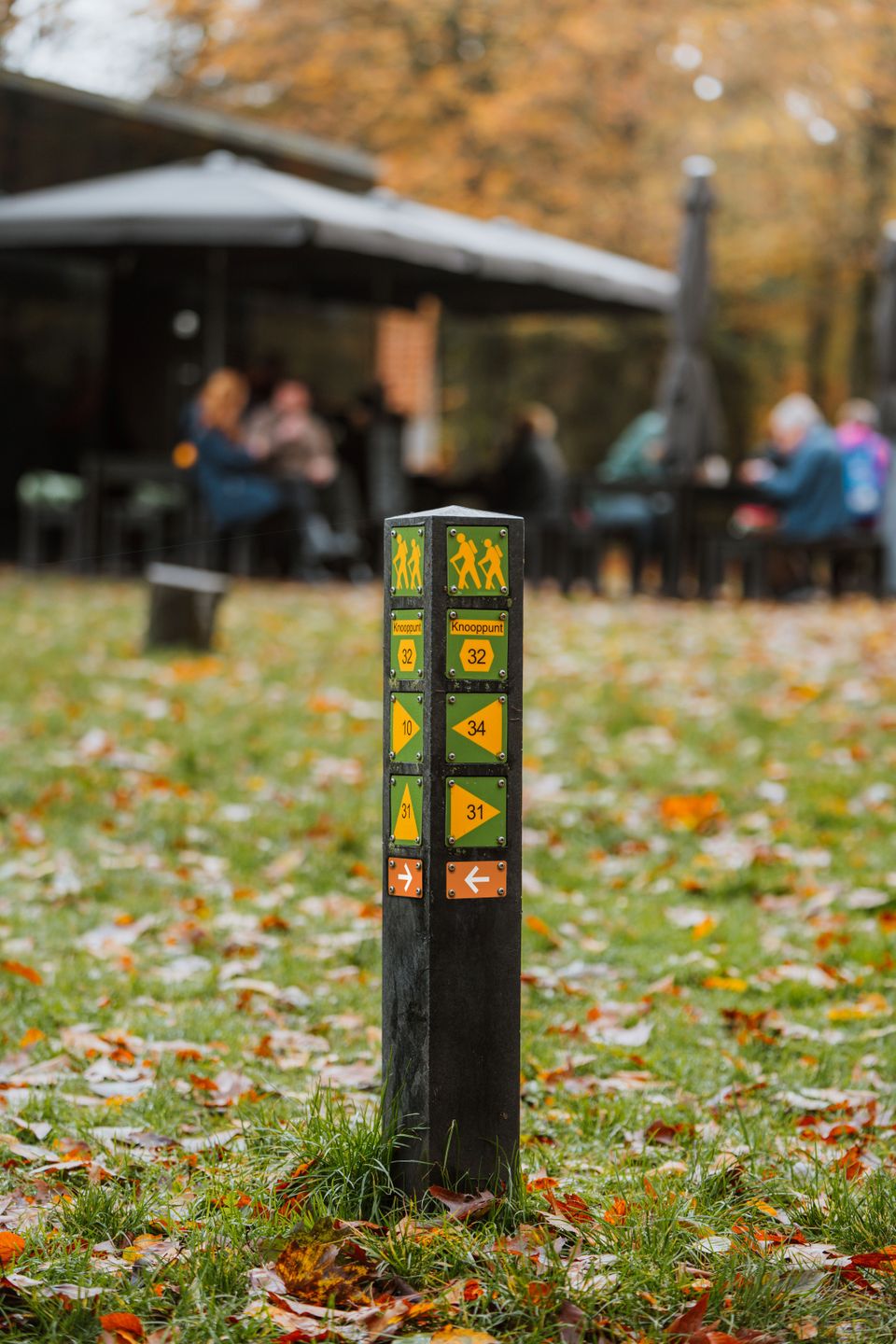 Volg de oranje bordjes of de geel-groene bewegwijzering van knooppunt naar knooppunt en wandel de Beerse Strijkster route.