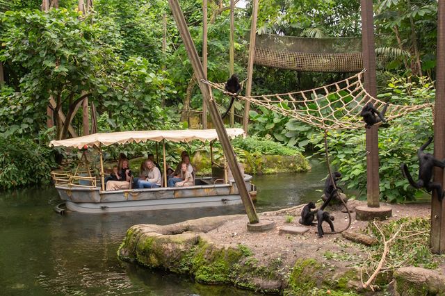 Ein Boot fährt an den Klammeraffen in Wildlands Drenthe vorbei.