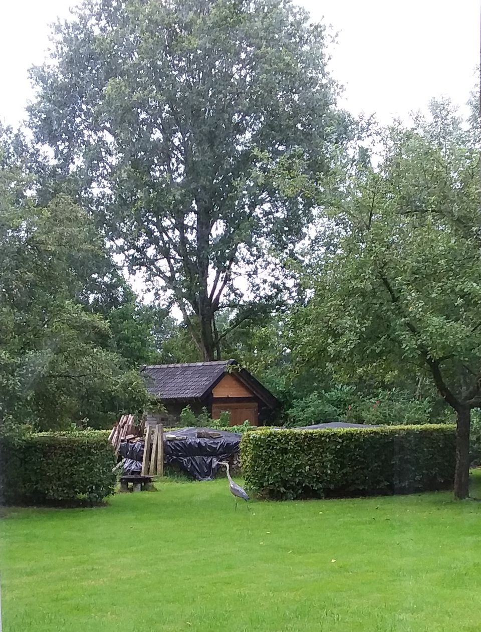 landelijk gelegen atelier Suksawat.