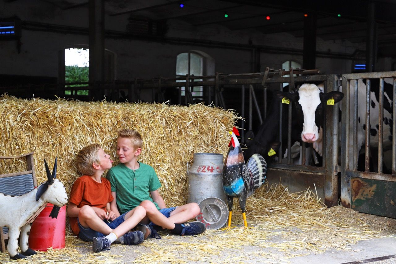 Kinderen beleven het boerenleven bij de Brabantse kluis