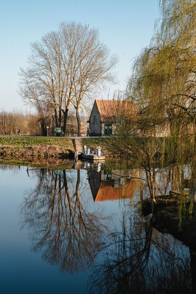 Trekpontje in de Bossche Broek
