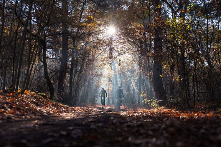 Mountainbikers op de mtb route in Waalre