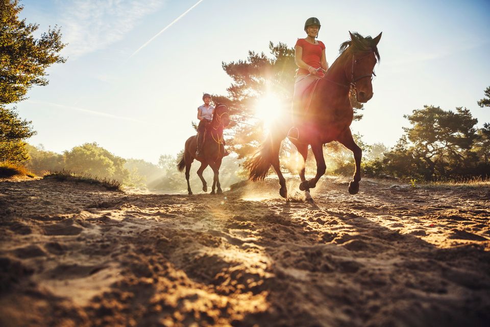 Twee ruiters rijden met hun paarden door de Drentse natuur bij zonsondergang.