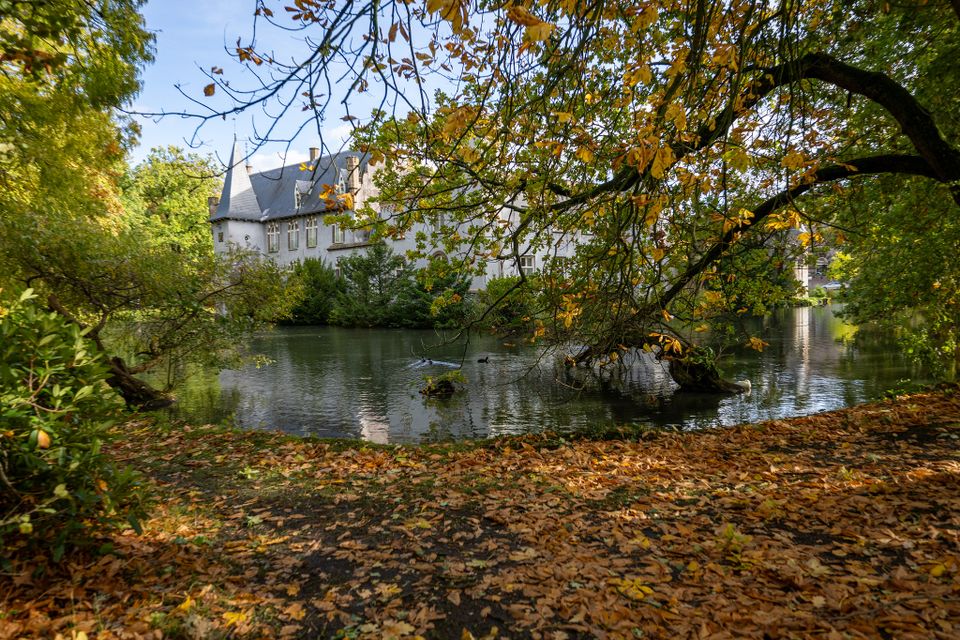 Herfst Stapelen Boxtel