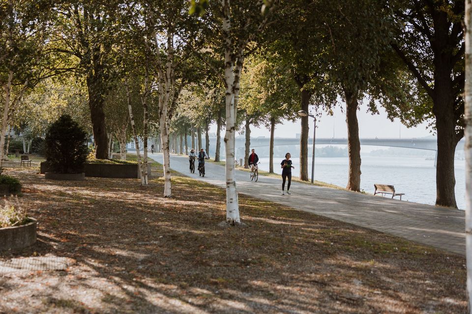 Charles Eyckpark Maastricht wandel en fietspad langs de maas