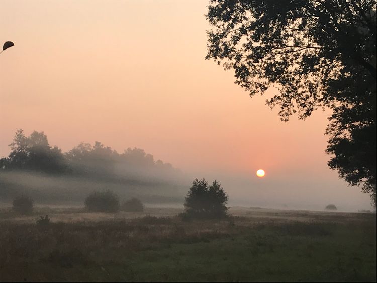 Zwerftocht door de Peel