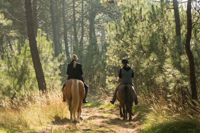 2 paarden met ruiters op bospad Vlieland