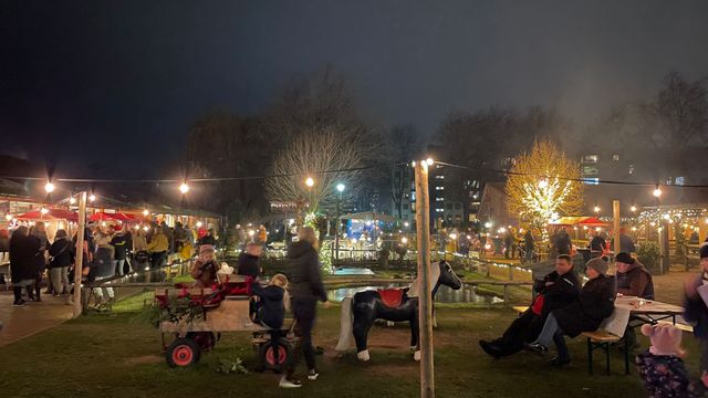 Kinderboerderij Elzenhoek in Kerstsfeer met lampjes en versiering