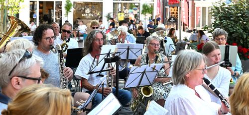 Muzikanten met instrumenten