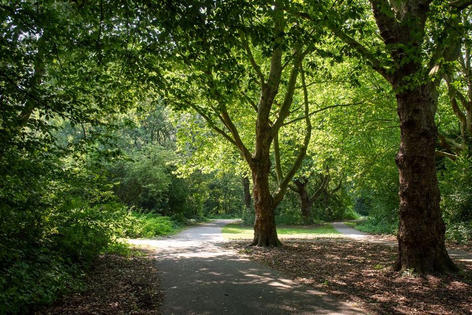 Een wandelpad met veel groene struiken en bomen in het Westerpark in Zoetermeer.