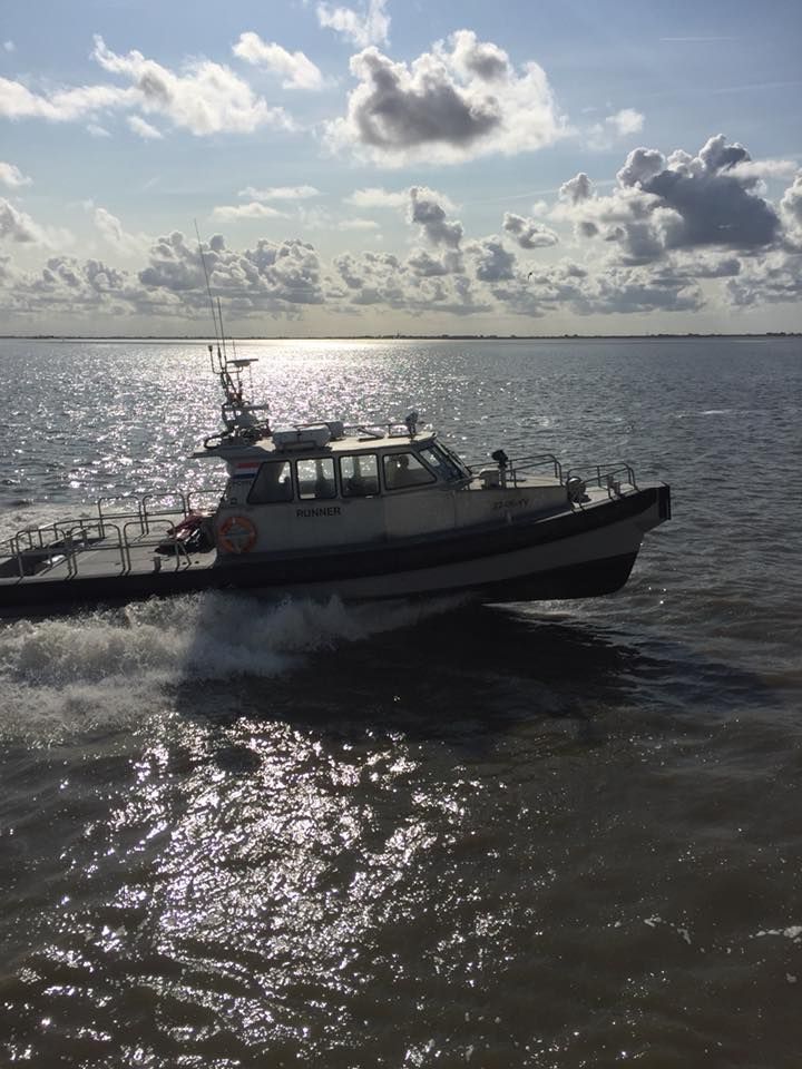 vissen op de Waddenzee