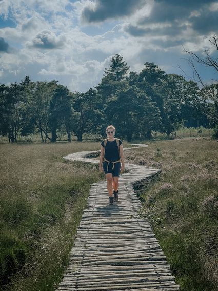Knuppelpad op de Strabrechtse Heide